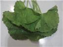 Ondelege chutney